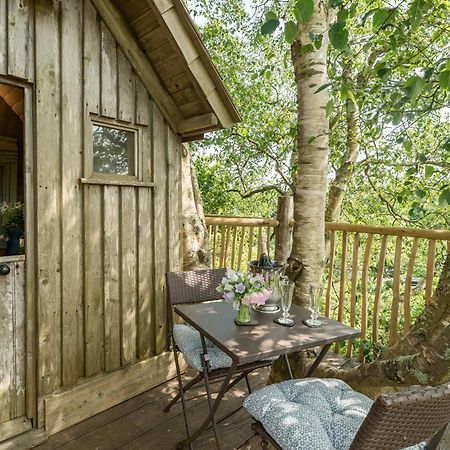 The Treehouse At Salcombe Farm Villa Eksteriør bilde