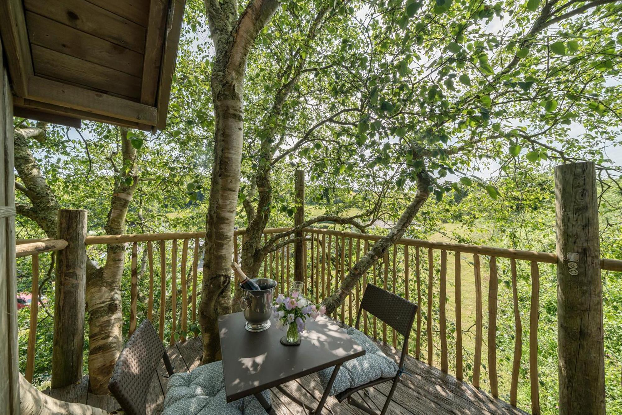 The Treehouse At Salcombe Farm Villa Eksteriør bilde